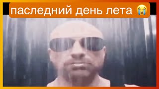 У Тиктока Последний День Лета | Подборка Мемов