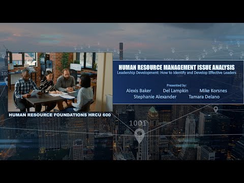 Human Resource Management Issue Analysis - Leader Development