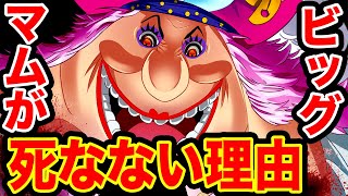 ワンピース考察 ビッグマムが死なない理由がヤバイ ワンピース ネタバレ One Piece考察 Youtube