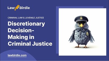 Discretionary Decision-Making in Criminal Justice - Essay Example