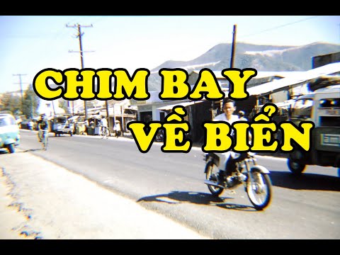 Video Hồi Ký Miền Nam | Chim Bay Về Biển - youtube