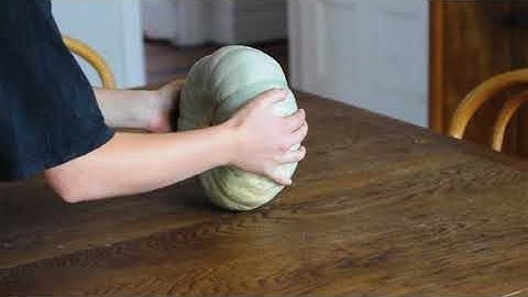 The Bats - Gone To Ground (Official Video)