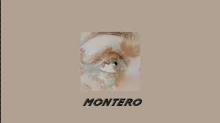 lil nas x - montero (slowed)༆