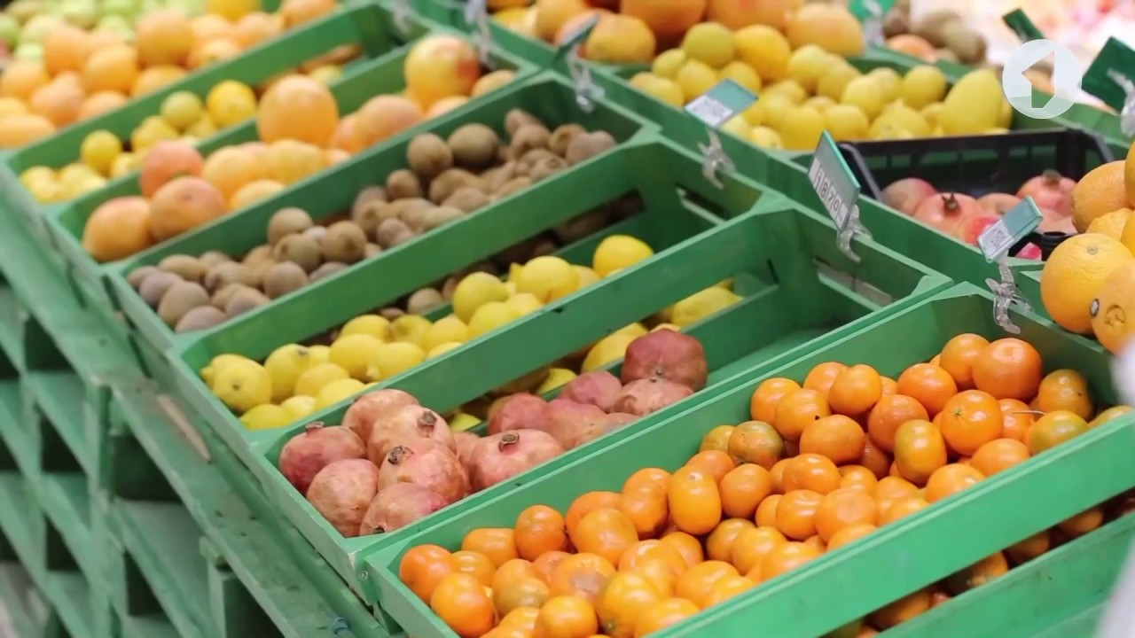 Утро. Lite / Как отказаться от пластиковых пакетов и зачем это делать?