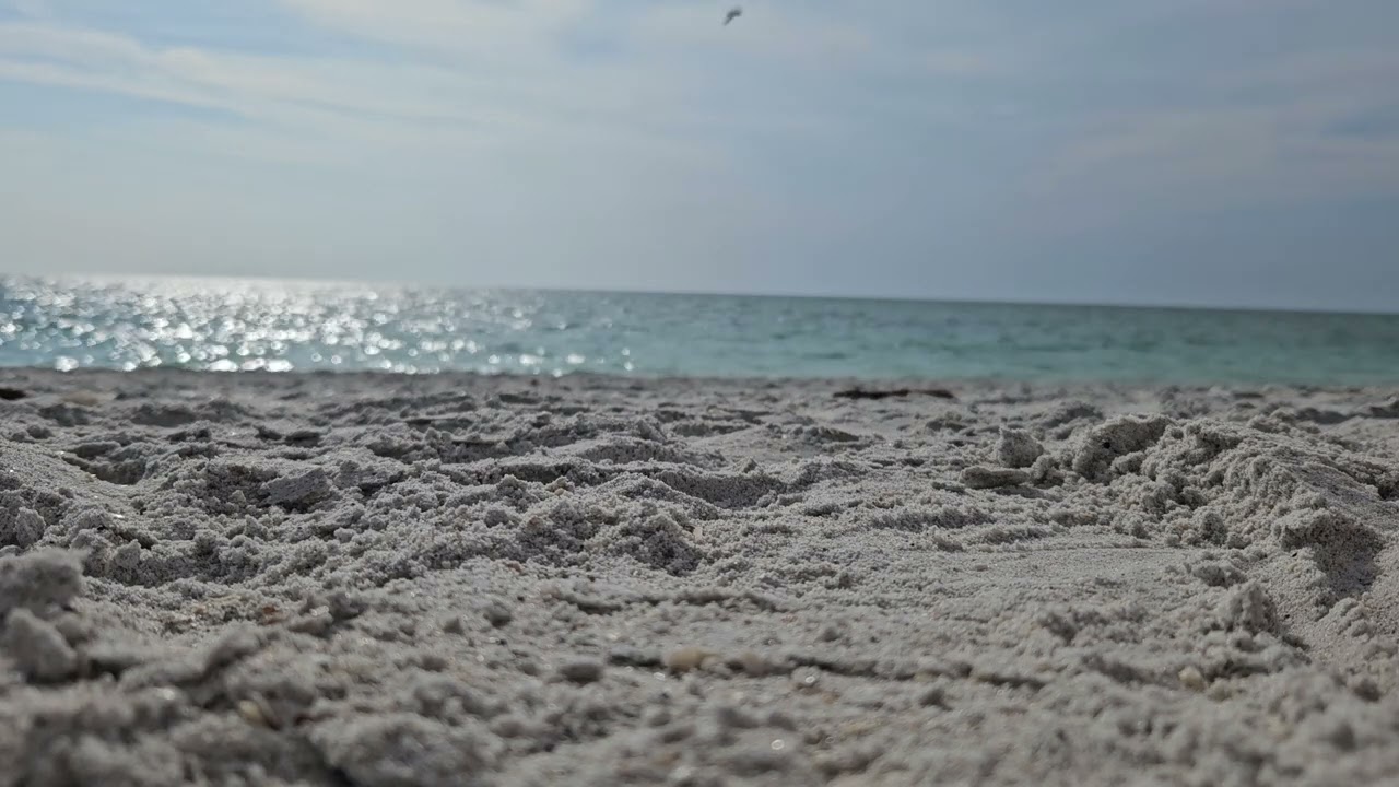 Casey Key Beach Sand Eye View