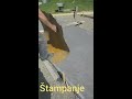 Štampani beton SZR Piroćanac - Proces izrade