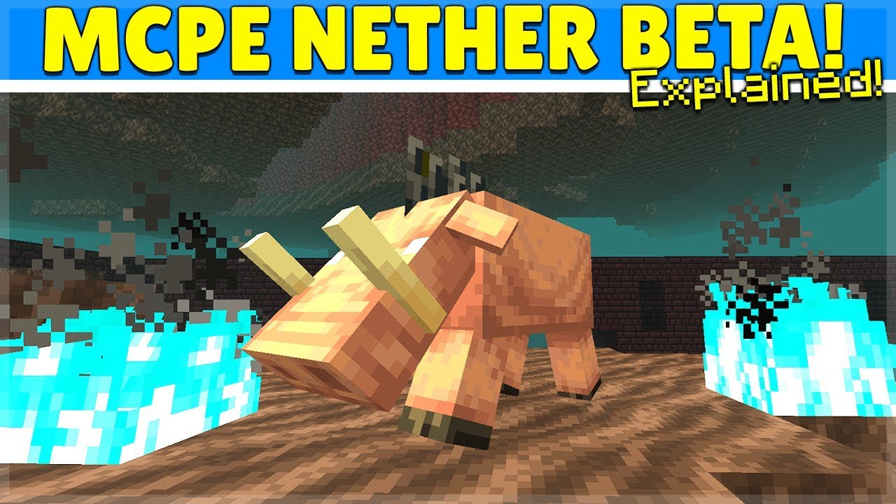 NO Nether BETA for MCPE/Bedrock & This is why...