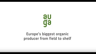 Auga Group 2019