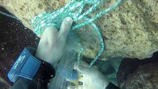 Catching cichlids at Chiwi Rock in lake Malawi