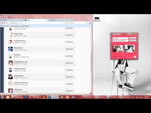 Download Tumblr Archives Fast ... Tutorial (Tumblr Ripper)
