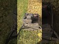 #toro #kawasaki #mower #lawnmowingbusiness #lawncare #lawnguy #lawn #fescue