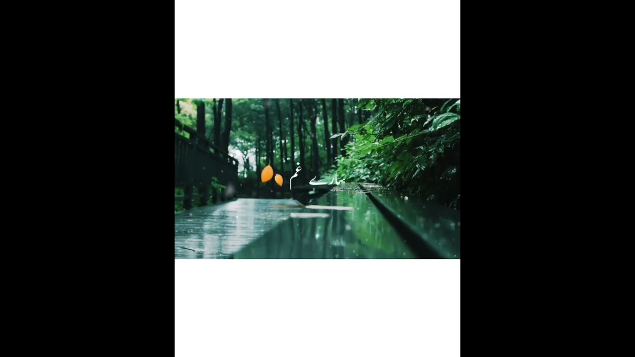 Bheege Mann (LYRICS) - || WhatsApp Status