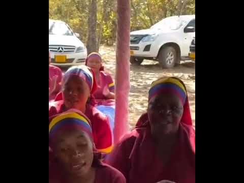 Ngariwerengwe (Handinyore)