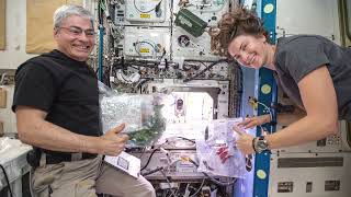 STEMonstrations  Photosynthesis   NASA+