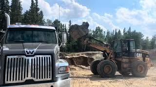 DAY 1 - Clearing Land for Dwight and Selena’s Dream Home🏡
