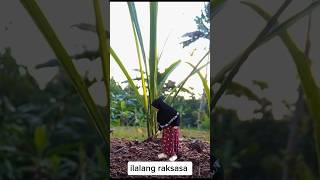 Download Lagu ilalang raksasa #creativephotography #creativephotographyideas MP3