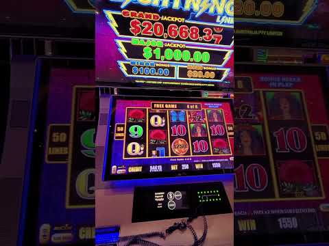 Tiki Casino: Arvostelut Pelatajan Kasinoa Verkossa