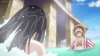 Pemersatu Bangsa Di One Piece