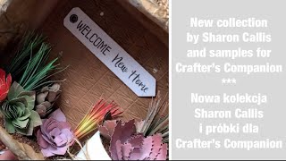Sharon Callis new released products and my samples for @Crafters_Companion #sensationalsucculents