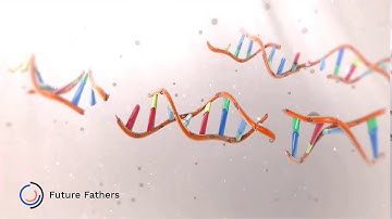 PhD Thesis Pitch:A Microfluidic Approach to Improving Reproductive Treatments - Steven Vasilescu