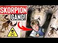 SKORPIONE im GEHEIMGANG!🦂| Versteckte MUNITIONSKAMMER unter INSEL-FESTUNG entdeckt!