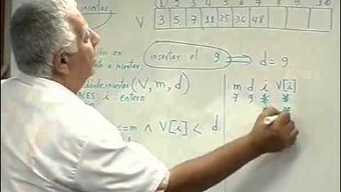 Arreglos: Vectores, proceso de inserción - Módulo 28