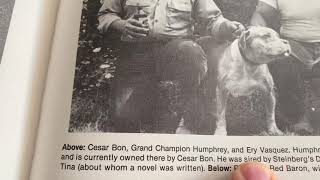 Historia Del Apbt, Perreros Mexico , Global Champion The Bagman Historia De Leyendas C López