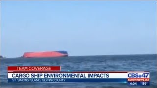 Capsized cargo ship environmental impacts