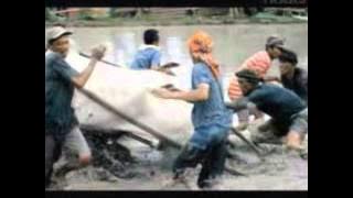 Download lagu Transtv Djarum Super