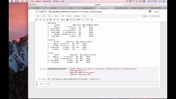 How to Use SQL and Pandas to Extract Data From a MySQL Database