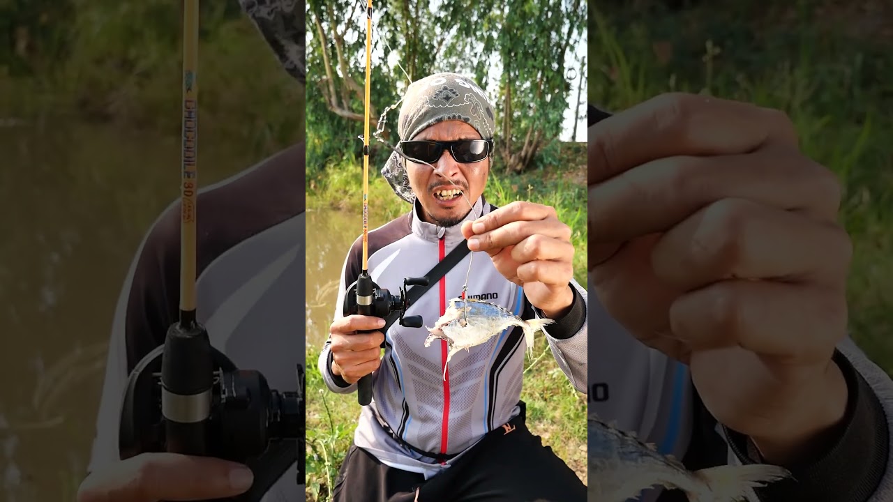 สายเหยื่อสด มีตัวเป็นโดน🎣😆🤣 #ตกปลา #สายเหยื่อสด