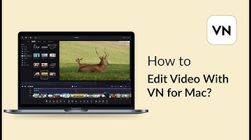 04. How to Edit Video With VN for Mac?｜VN for Mac