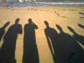 Nascimento de tartarugas em Intermares