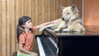 'Moon River' on Piano for Sharky the Dog