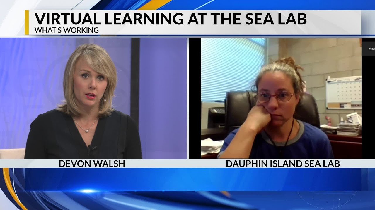 What's Working Dauphin Island Sea Lab gains new virtual audience, to