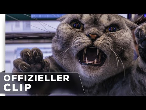 Argylle | Ab 01. Februar im Kino - Argylle | Ab 01. Februar im Kino