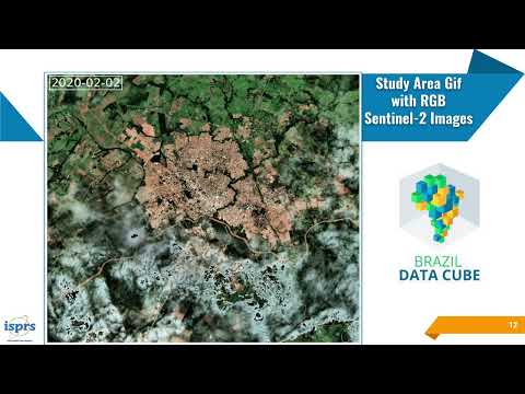 Spatiotemporal Segmentation of Satellite Image Time Series Using Self Organizing Map