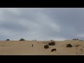 Honda CRF250X vs. KTM EXC-F 250 KOH Johnson Valley 2022