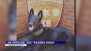 Greene County Sheriff's Dept. K9 passes away due to brain tumor complications