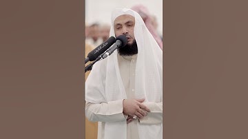 القارئ عادل ريان #islam #quran #قرآن #محراب #دعاء