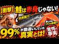 【衝撃】鮭は赤身じゃない! 99%が勘違いしていた真実とは！