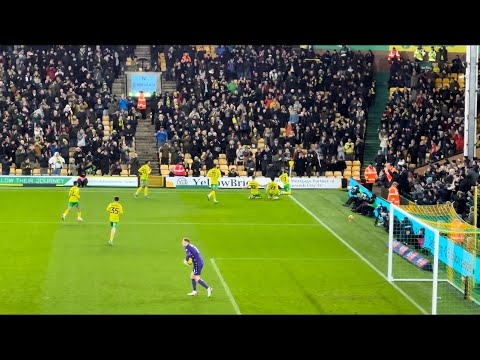 23/24 championship Norwich city vs Sheffield Wednesday Borja Sainz’s goal (3-1) 13/12/23