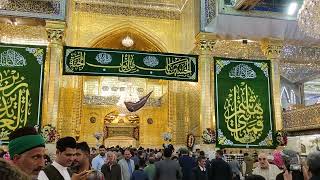 Harame Maula Abbas A.s Iraq