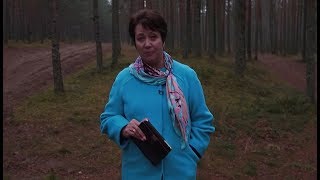 536. В.О. - Как защитить сына от негативного влияния. 536. В.О. - Как защитить сына от негативного влияния.