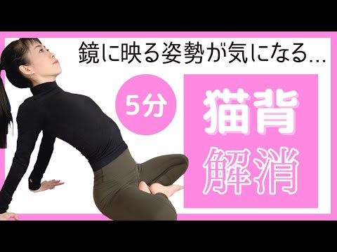 【猫背解消】姿勢美人、やさしいヨガ、初心者、体が硬い人向け
