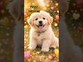 Cute dog puppy funny video#dogbarkingsounds #4kviral #shorts