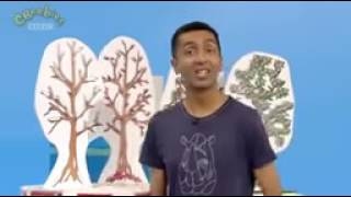 Cbeebies Tikkabilla Seasons And Ducks newest Cbeeb