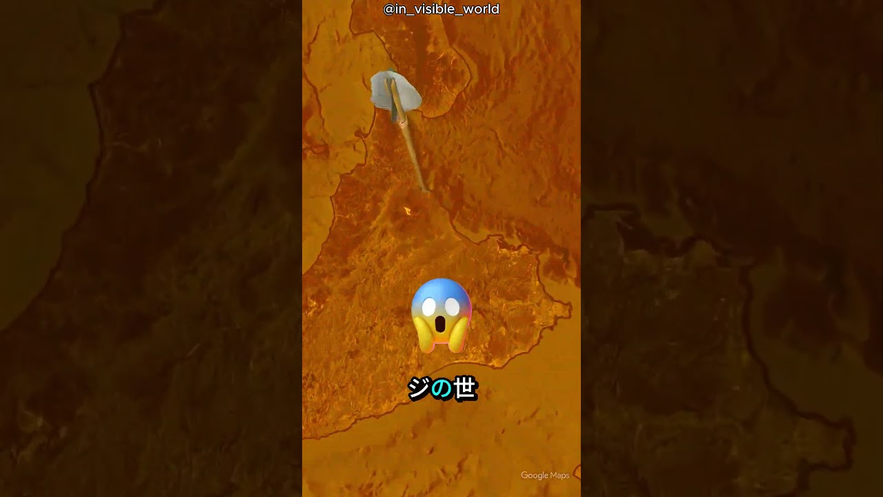 オレンジの中に何がある? 🍊🔍