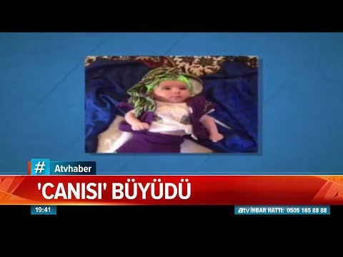 Canısı büyüdü - Atv Haber 17 Eylül 2019