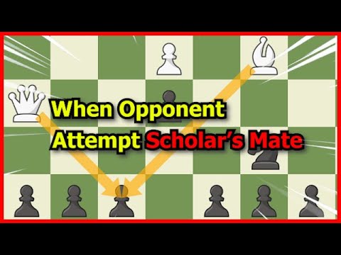 Punishing a filthy scholar's mate player (he resigned after this ofc) :  r/chessbeginners